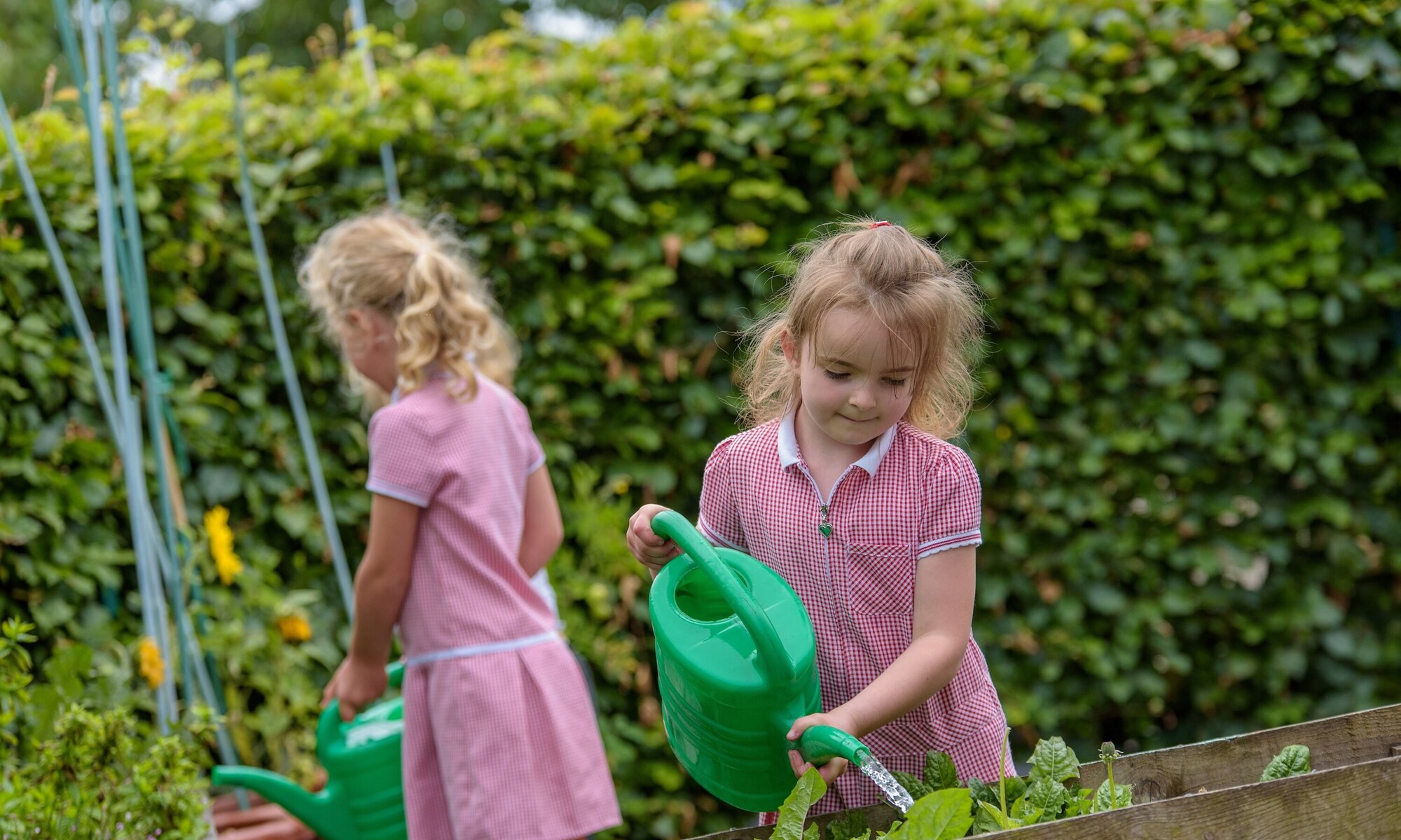 All saint s c of e e13 7lx 93 of 93